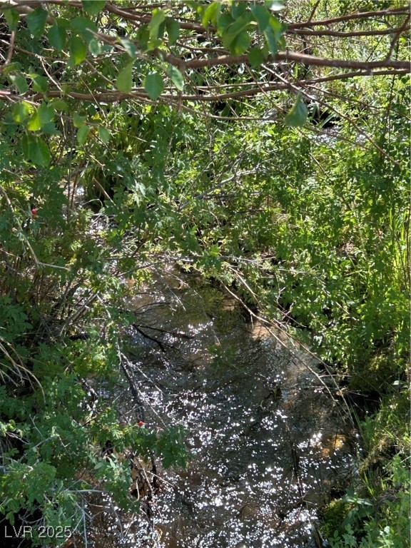 780 Davis Meadow Trail Property Photo 2