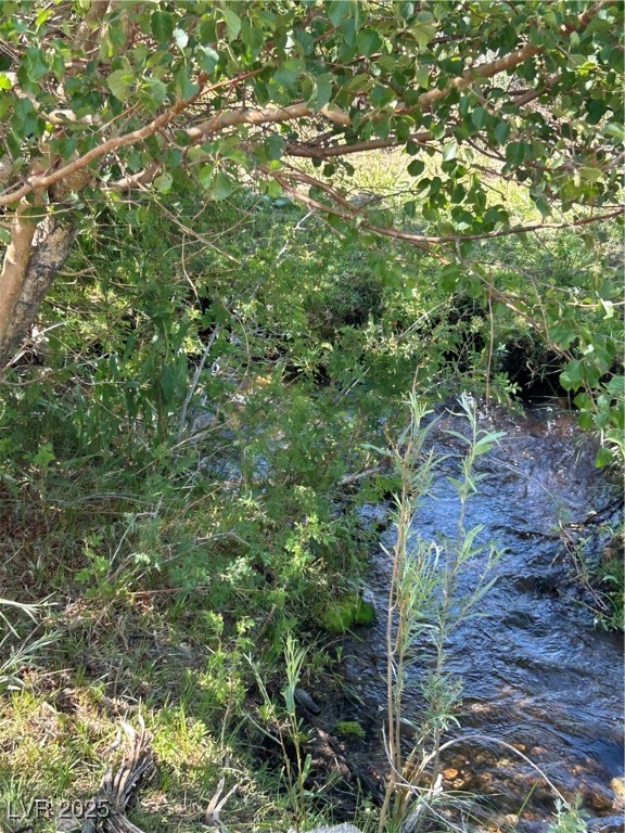 780 Davis Meadow Trail Property Photo 3