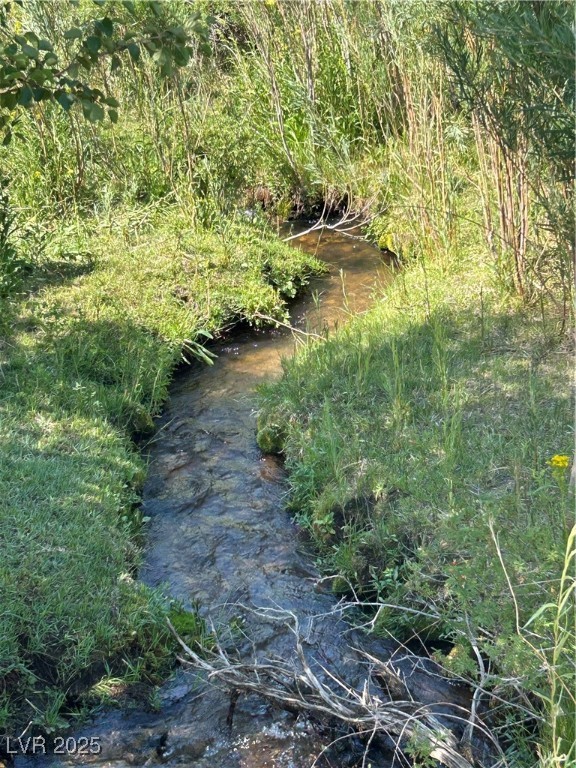 780 Davis Meadow Trail Property Photo 5