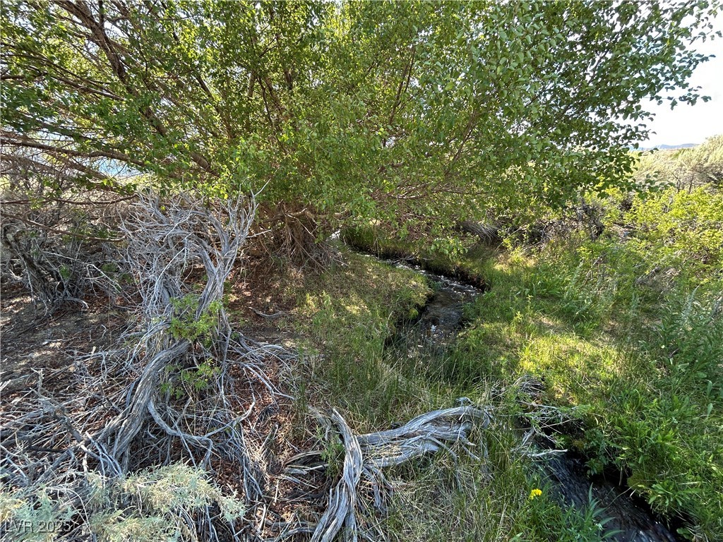 780 Davis Meadow Trail Property Photo 7