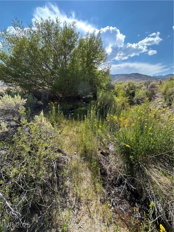 780 Davis Meadow Trail Property Photo 8