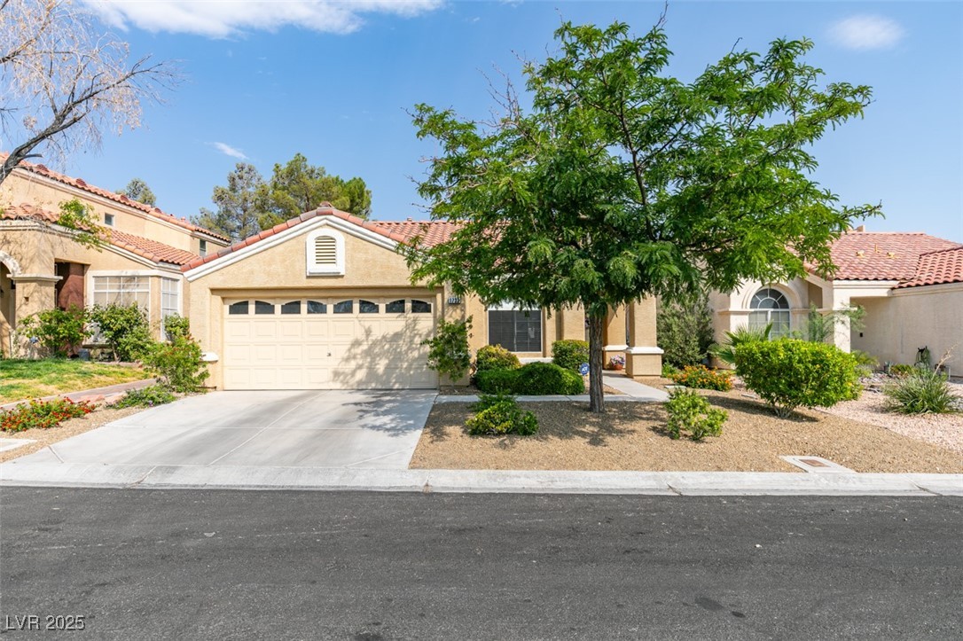 1733 Morado Hills Lane Property Photo 1