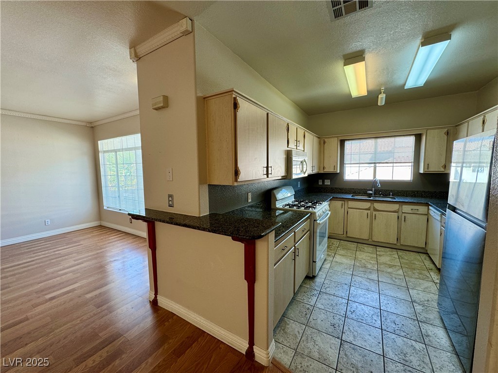 1900 North Torrey Pines Drive 223 Property Photo 19