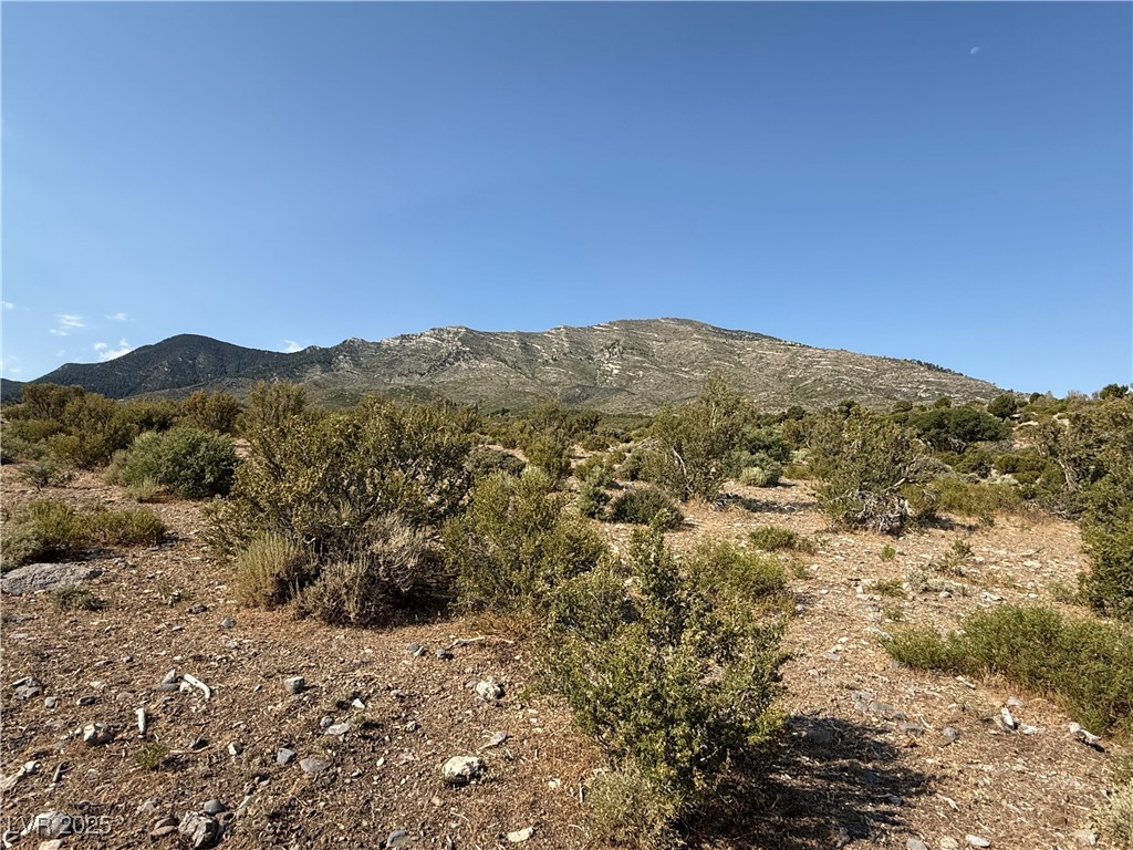 Rudin Drive Property Photo 16