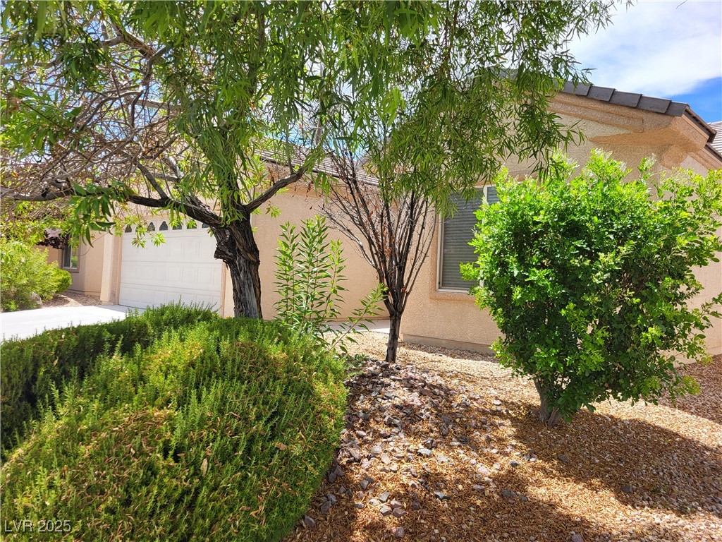 7429 Widewing Drive Property Photo 1