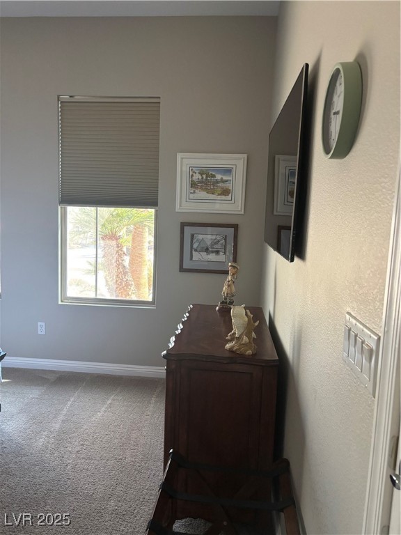 2169 Tiger Willow Drive Property Photo 12