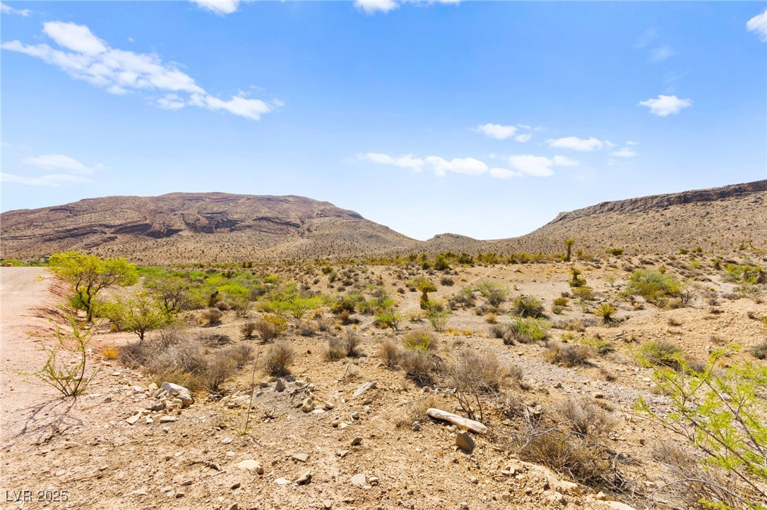 100 Spanish Trail Property Photo 29