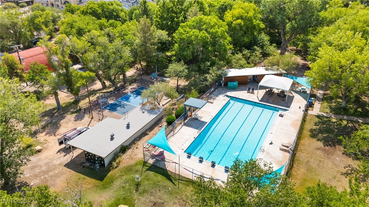 100 Spanish Trail Property Photo 42