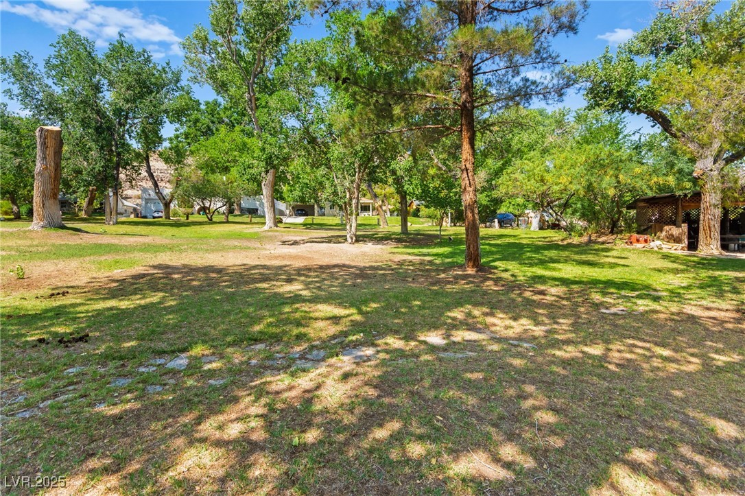 100 Spanish Trail Property Photo 58