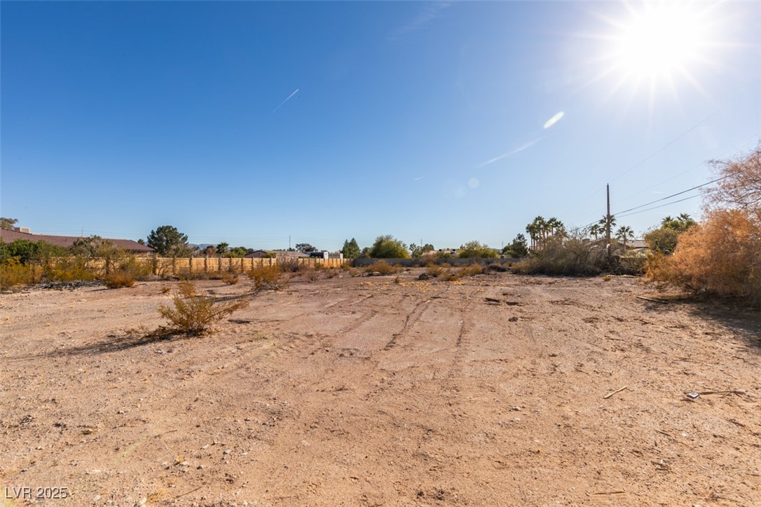 Cougar Avenue Property Photo 4