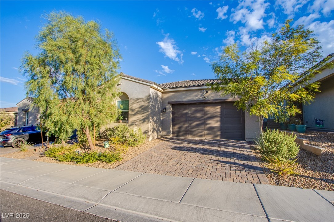 10155 Misty Step Avenue Property Photo 29