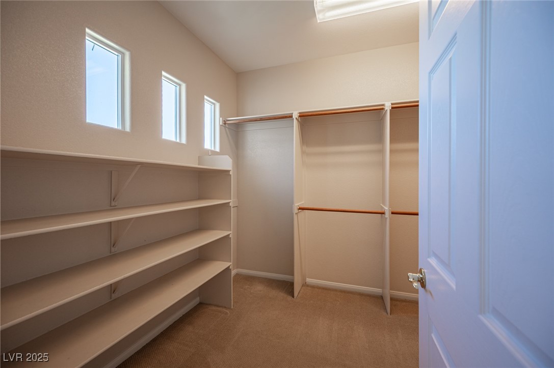 10513 Rusty Railroad Avenue Property Photo 36