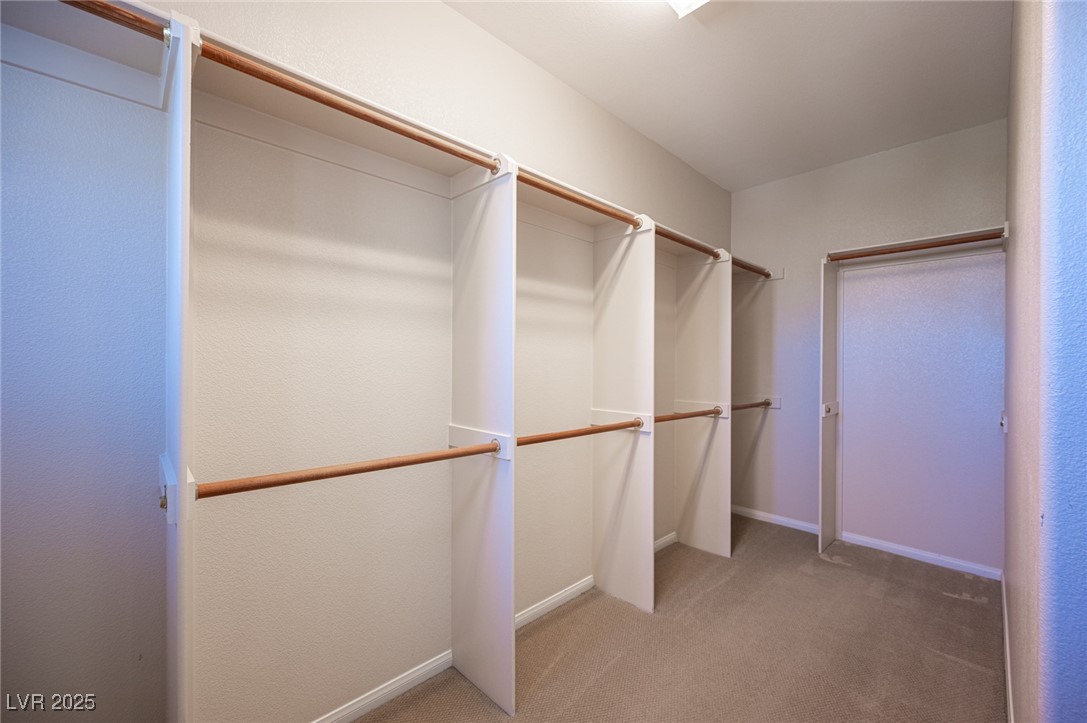 10513 Rusty Railroad Avenue Property Photo 37