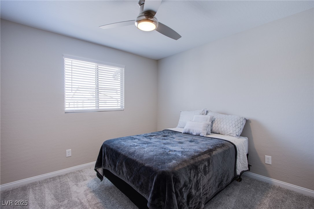 519 Sonoma Range Street Property Photo 21