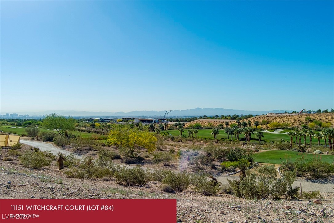 11151 Witchcraft Court Property Photo 5