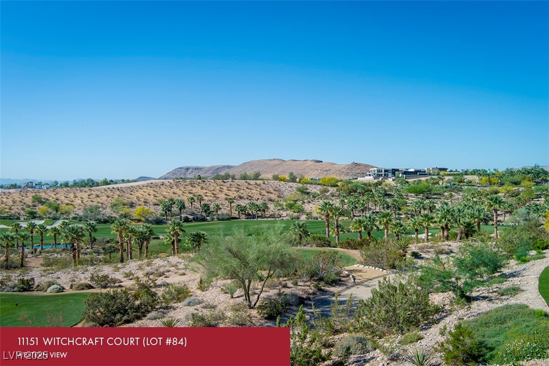 11151 Witchcraft Court Property Photo 6