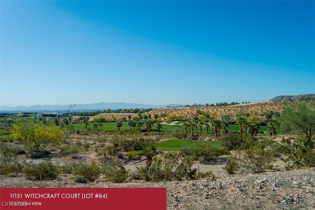 11151 Witchcraft Court Property Photo 7