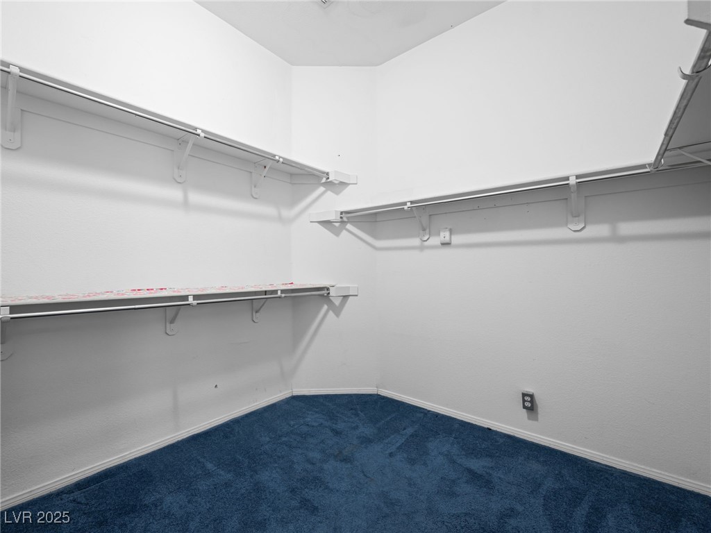 7549 Evening Falls Drive Property Photo 41