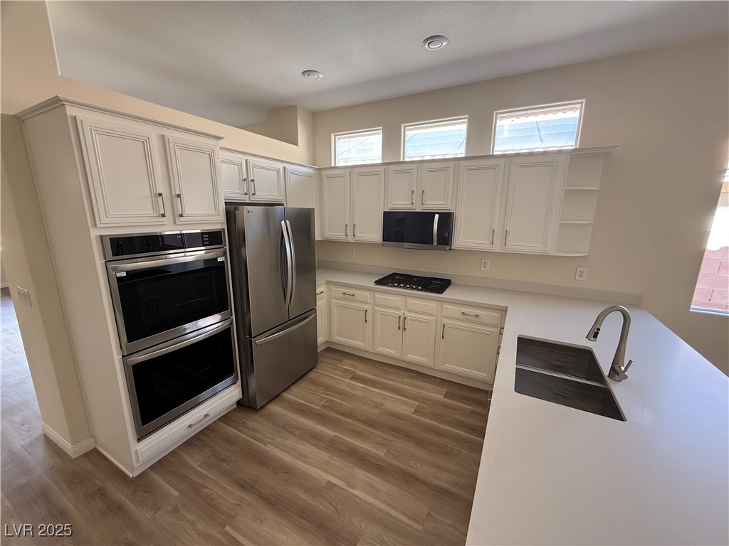 10657 Sapphire Vista Avenue Property Photo 3
