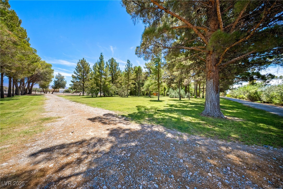 2221 West Windsong Lane Property Photo 4
