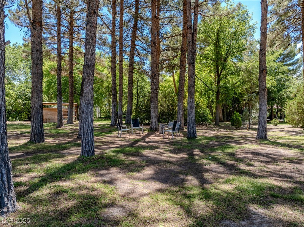 2221 West Windsong Lane Property Photo 5