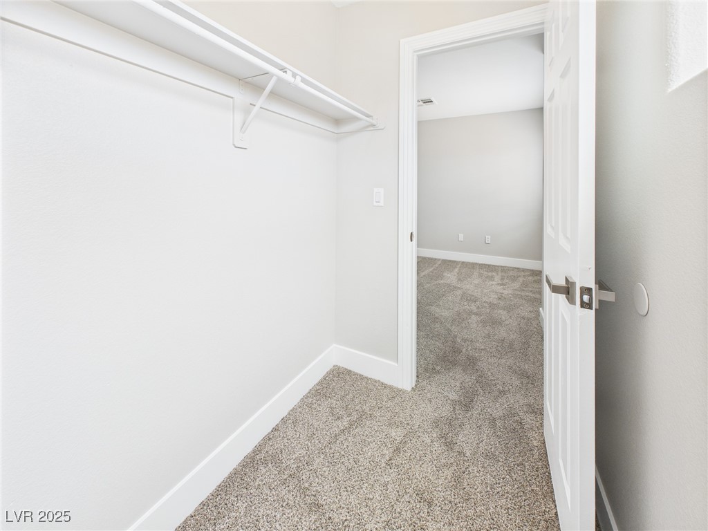 8922 Mossy Hollow Avenue Property Photo 40