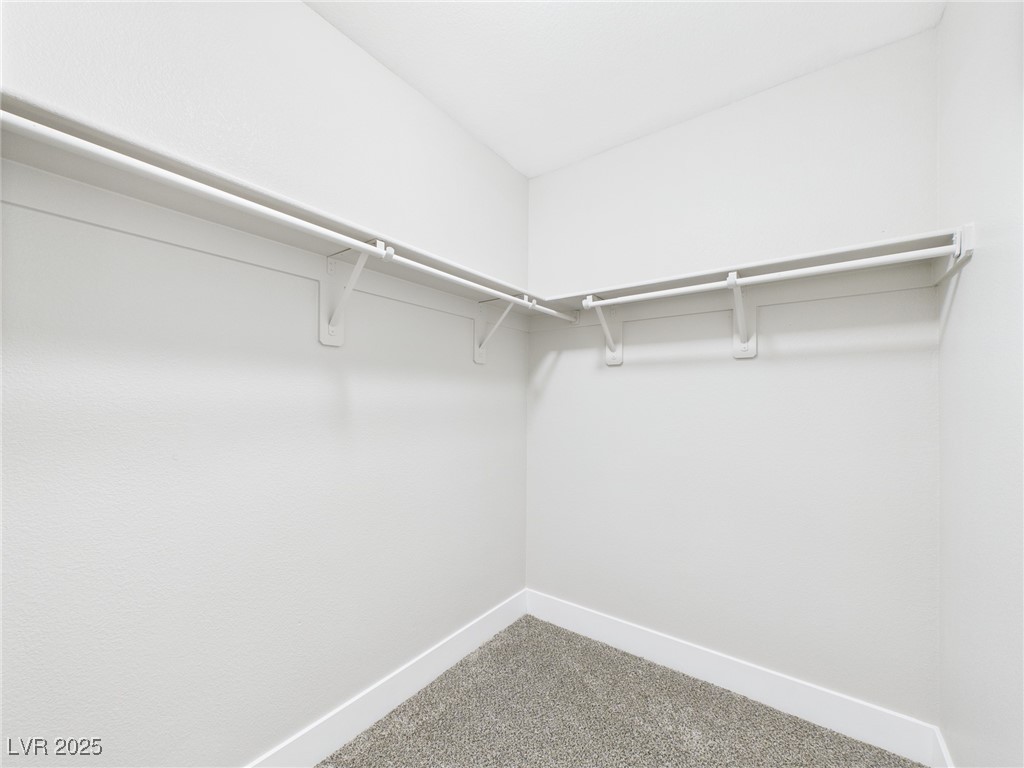 8922 Mossy Hollow Avenue Property Photo 49
