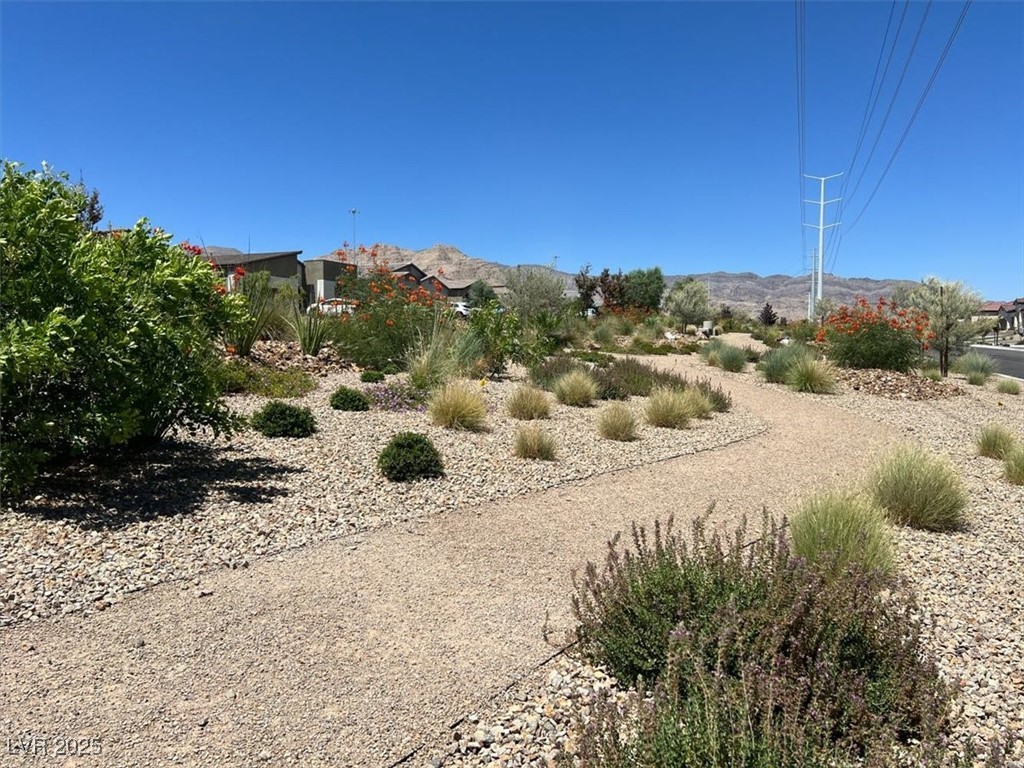 10269 Sequoia Falls Place Property Photo 34