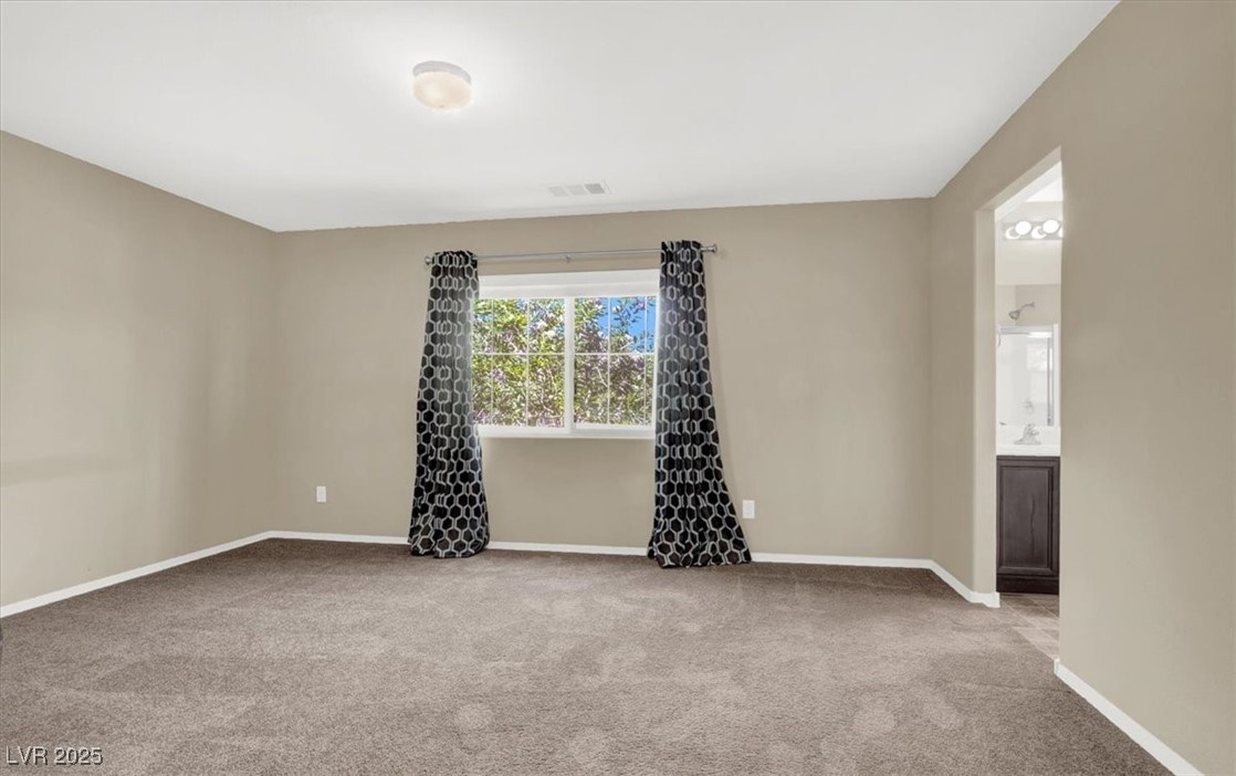 7919 Bartlett Peak Street Property Photo 13