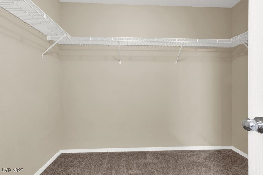 7919 Bartlett Peak Street Property Photo 18