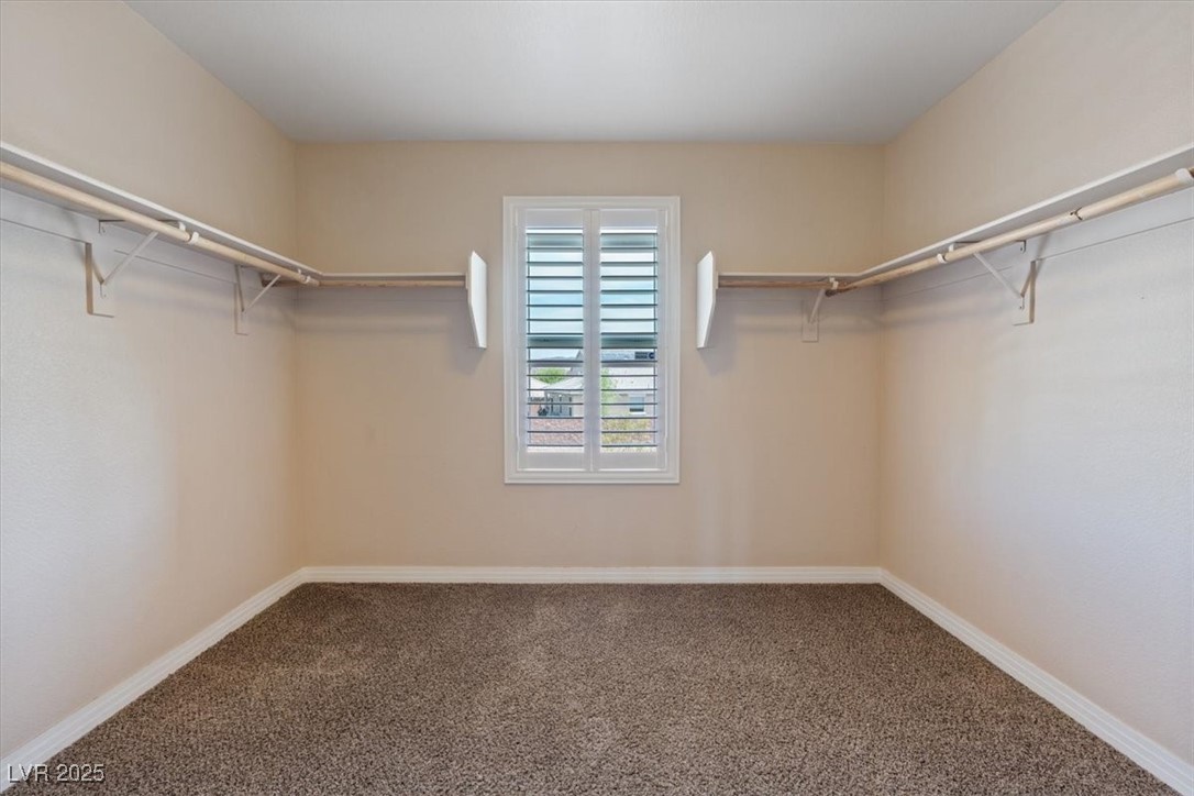1121 Copper Grass Street Property Photo 35