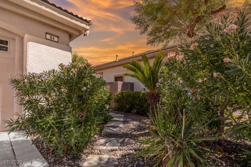 64 Twilight Rose Street Property Photo 33