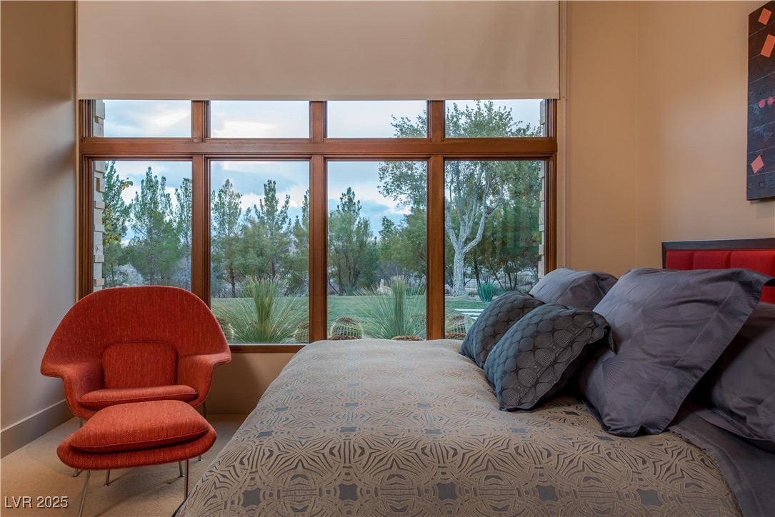 55 Skybird Court Property Photo 28