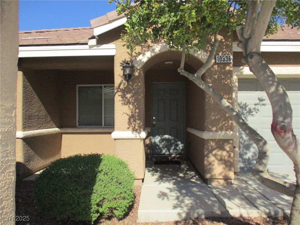 10336 MELON CACTUS Street