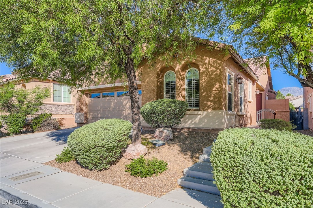 1005 Ambrosia Drive Property Photo 1