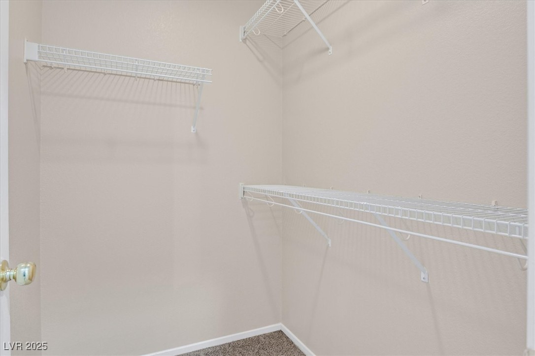 11934 Wild Chamomile Street Property Photo 12