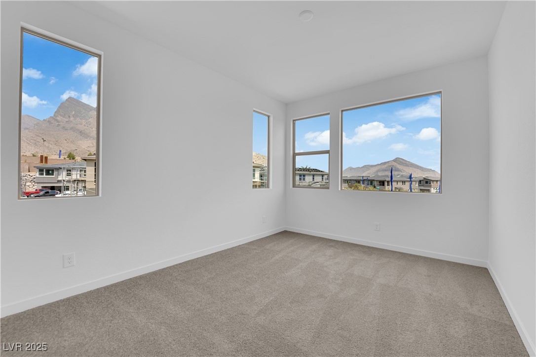11467 Ethereal Landing Avenue Property Photo 23