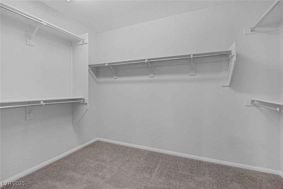 9067 Field Maple Street Property Photo 34