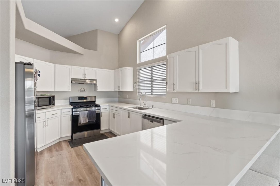 7412 Forest Ivy Street Property Photo 13