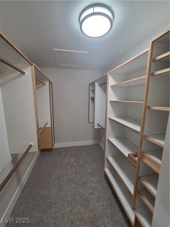 1816 Mazzanti Way Property Photo 28