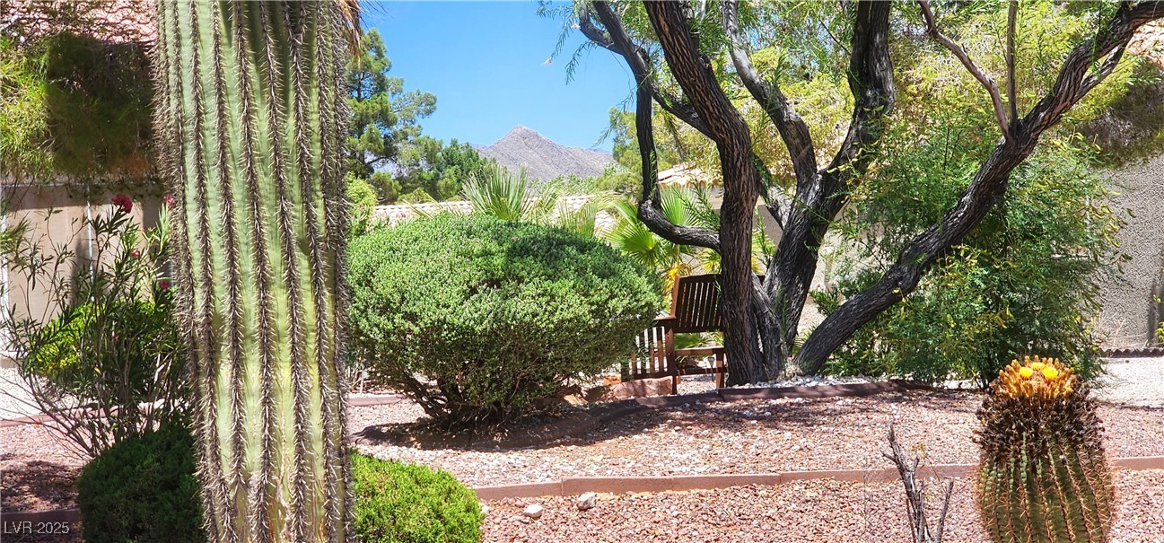 3013 Sungold Drive Property Photo 10