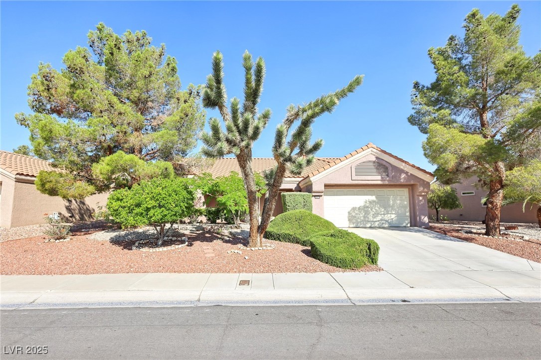 3013 Sungold Drive Property Photo 45