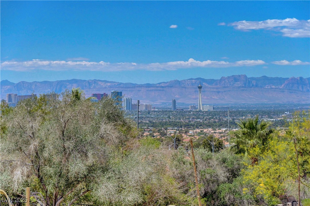 853 Morning Sun Court Property Photo 29