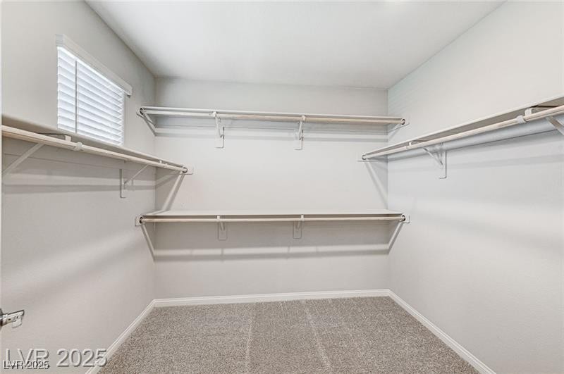 534 Lassen Falls Court Property Photo 33