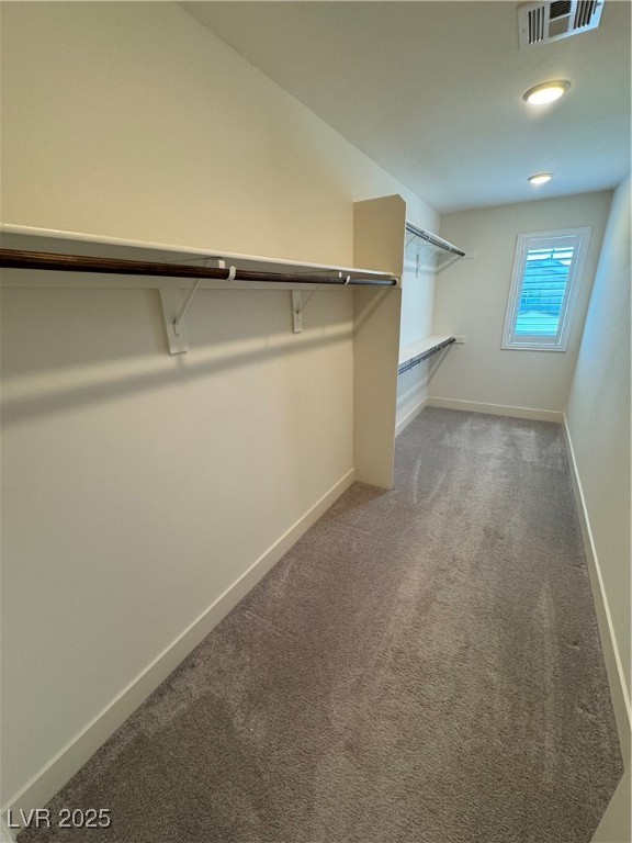 2103 Maderno Street Property Photo 51