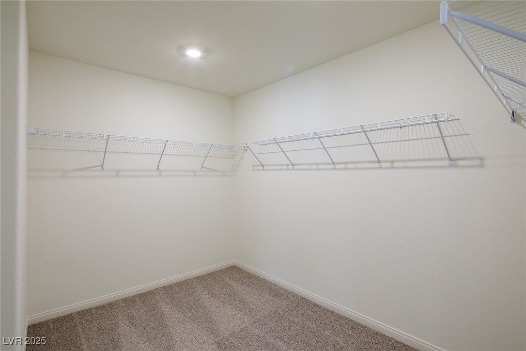 4143 Juniper Pear Avenue Property Photo 21