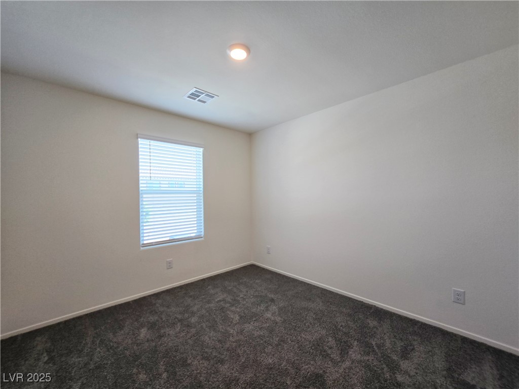 9459 Calm Stream Avenue Property Photo 19