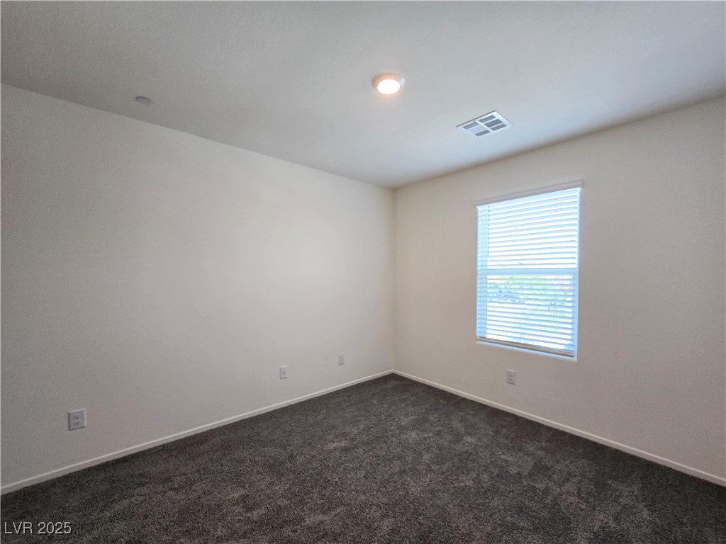 9459 Calm Stream Avenue Property Photo 20