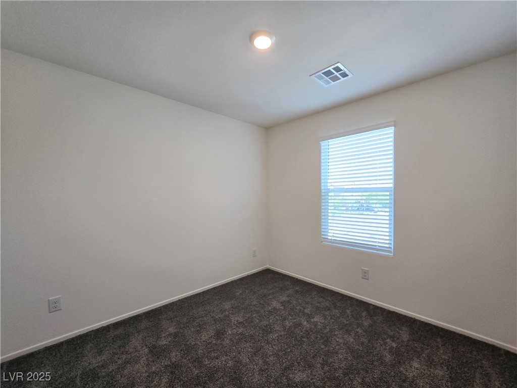 9459 Calm Stream Avenue Property Photo 22