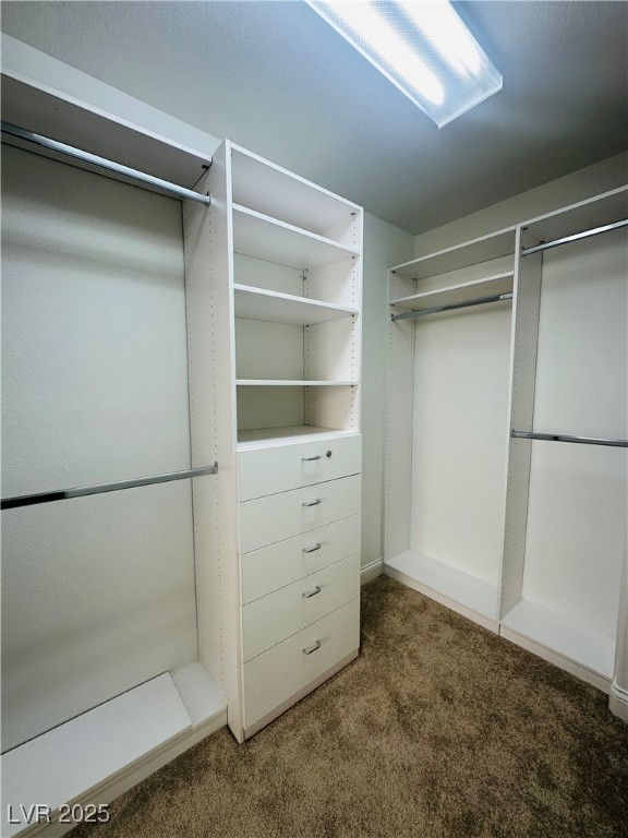 2208 Saddlebill Court Property Photo 61